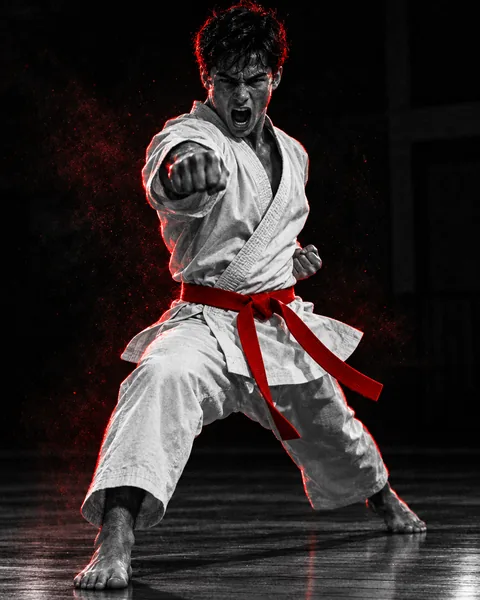 Karateka con karategi blanco y cinturón negro lanzando un puñetazo en posición de kárate