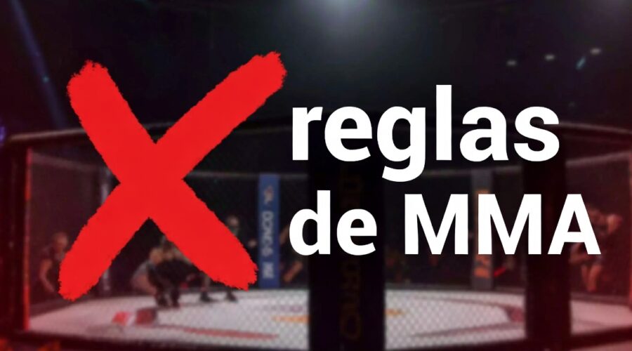 ¿Qué pasaría si las reglas del MMA cambiaran?