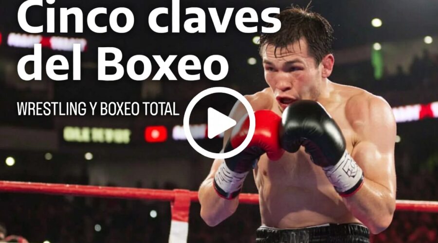 5 Lecciones de Boxeo que Cambiarán tu Forma de entenderlo