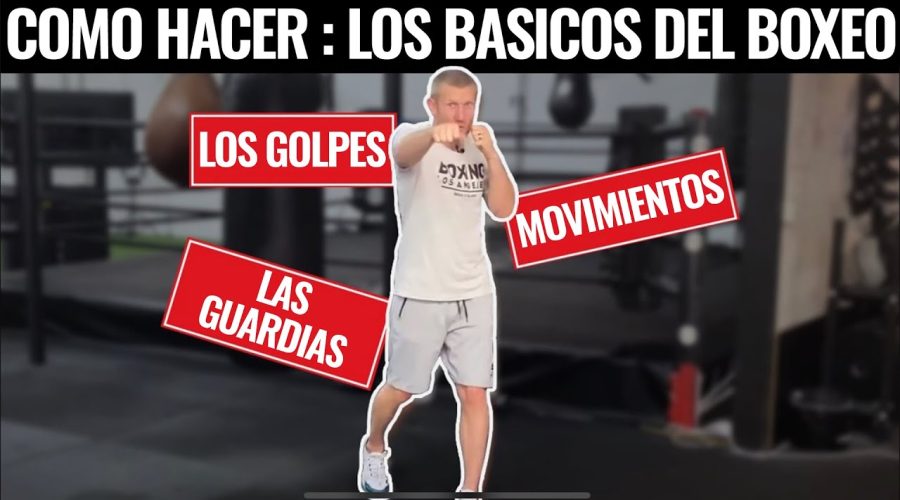 Cómo Aprender Boxeo: Guía Completa Para Principiantes