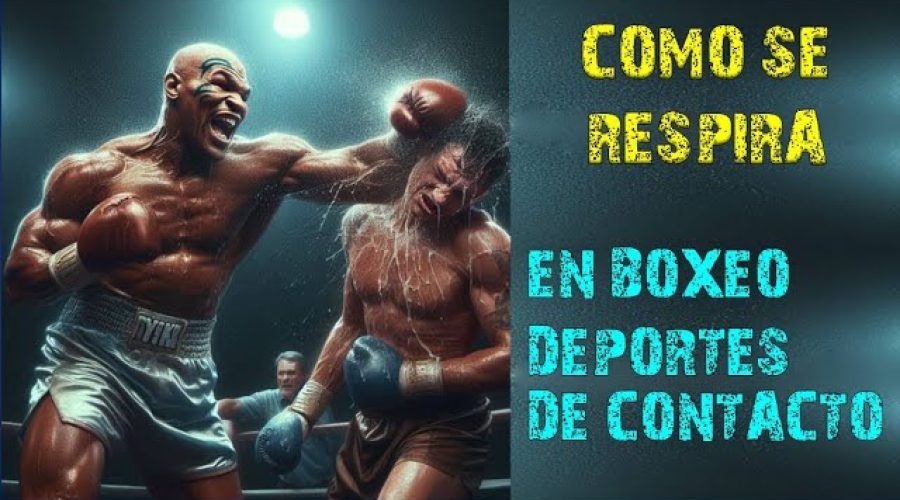 Boxeo: Claves Dominar el Deporte de Contacto Más Apasionante