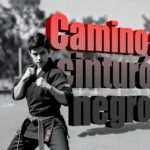 Tu Camino hacia el Cinturón Negro: Una Hoja de Ruta para el Kickboxer