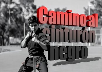 Tu Camino hacia el Cinturón Negro: Una Hoja de Ruta para el Kickboxer