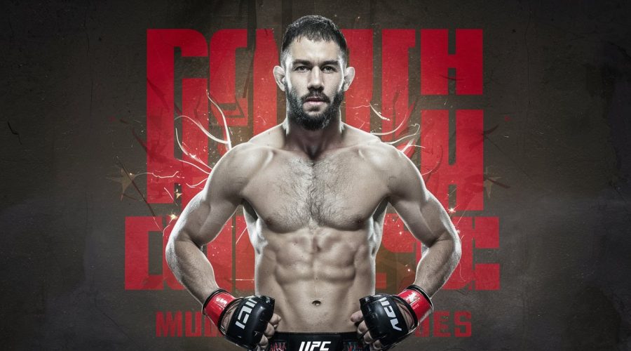 Consejos de Campeones Mundiales de MMA