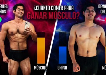Plan de Comidas para Ganar Músculo: ¿Cuántas Veces Comer al Día?
