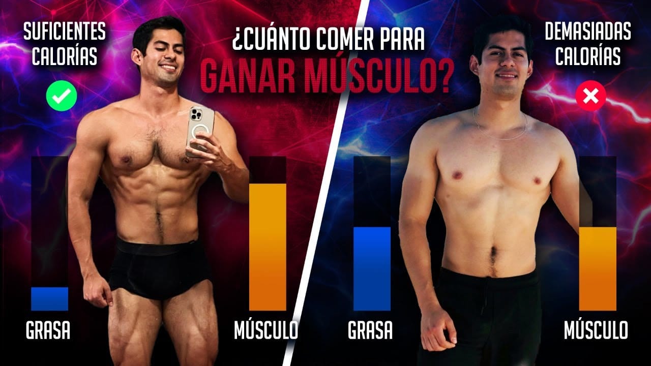 Cuantas veces comer al dia para aumentar el volumen muscular