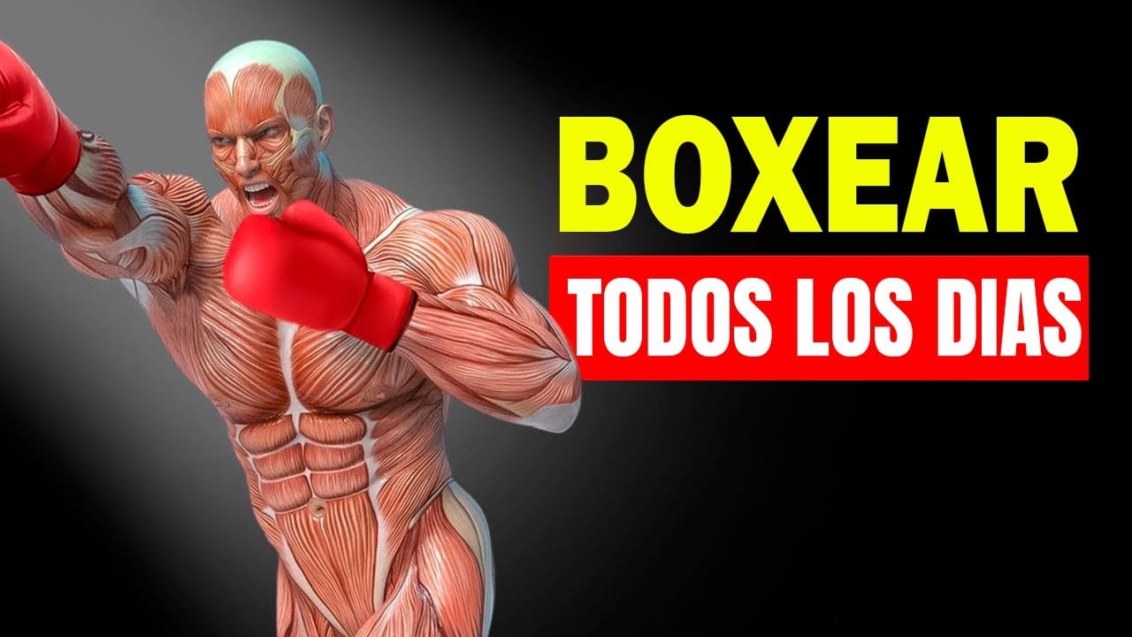 El boxeo el aliado para fortalecer tu cuerpo