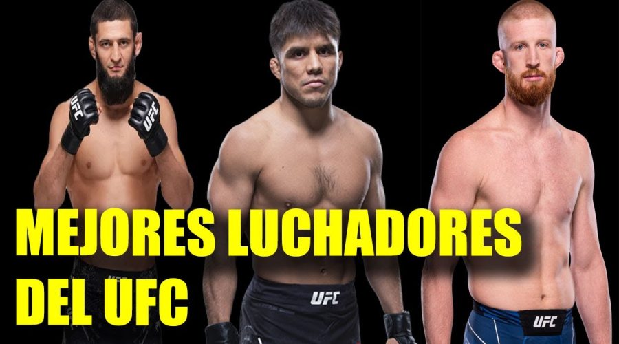 El luchador de UFC más en forma en este 2024