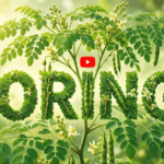 ¿Cómo tomar Moringa? Dosis recomendada, recetas y beneficios