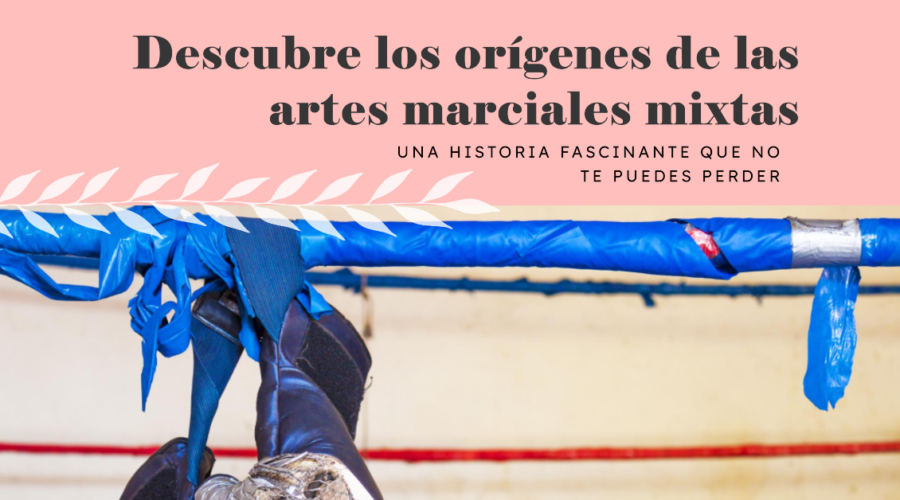 Historia y orígenes de las Artes marciales mixtas