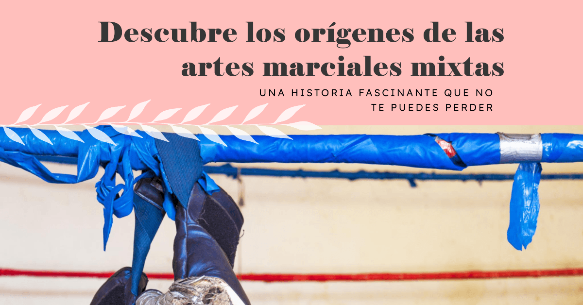 Historia y origenes de las Artes marciales
