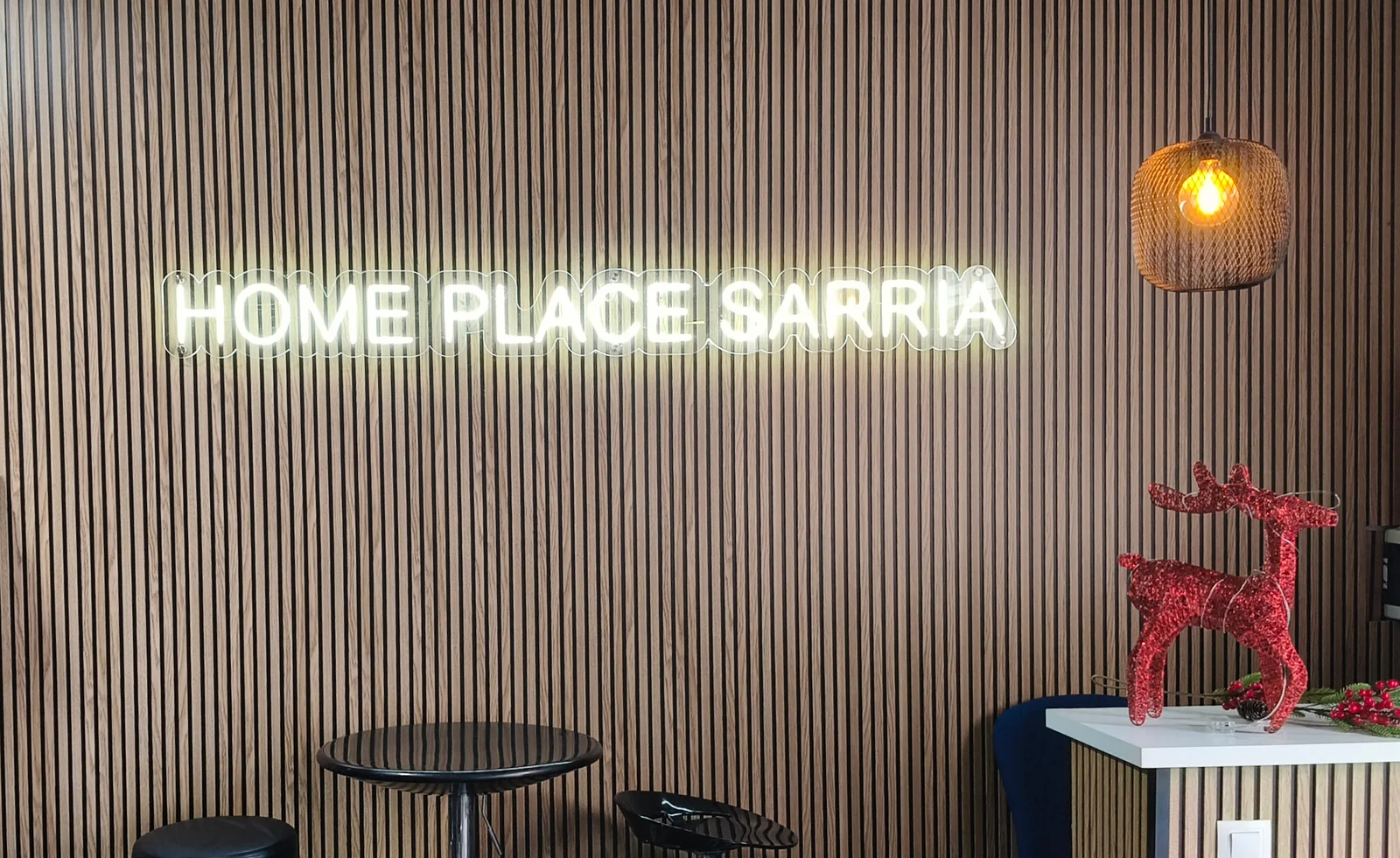 IMG20251208143837 1 e1765209725811