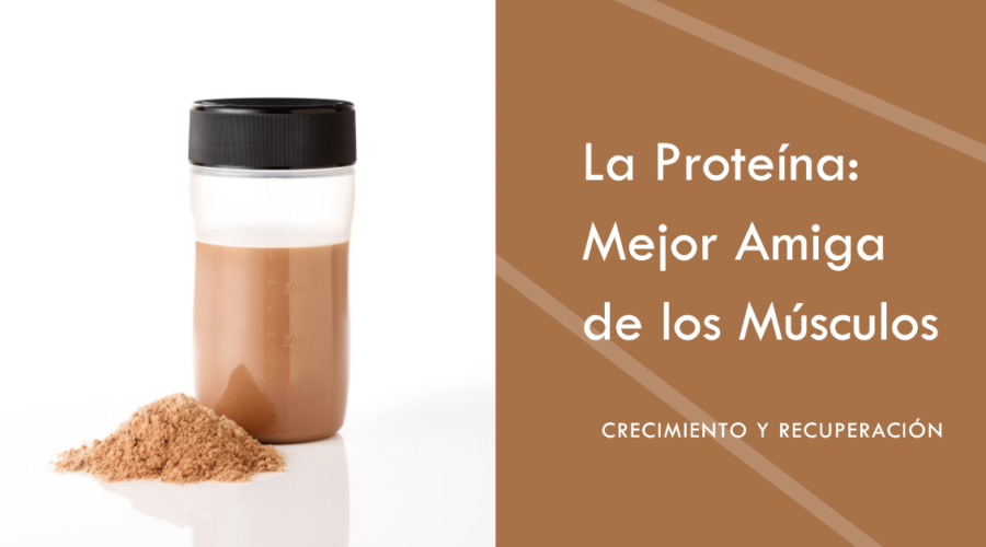 La Proteína: Mejor Amiga de los Músculos para el Crecimiento y Recuperación