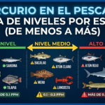 Mercurio en el pescado: tabla de niveles por especie (de menos a más)