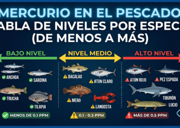 Mercurio en el pescado: tabla de niveles por especie (de menos a más)