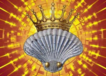 Protege las joyas de la corona: la coquilla en el deporte de contacto