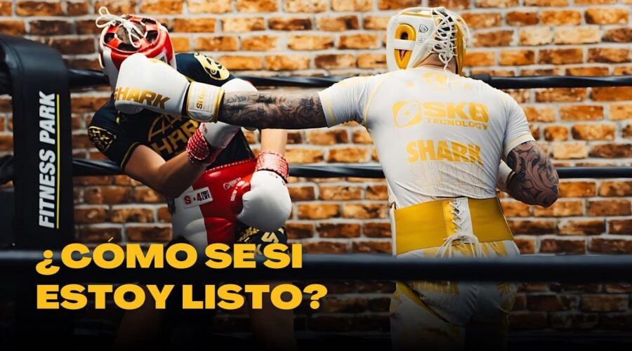 Qué necesitas para practicar MMA equipamiento esencial para principiantes