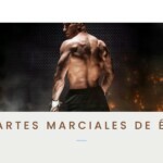UFC, artes marciales de éxito