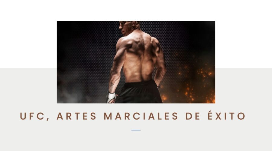 UFC, artes marciales de éxito