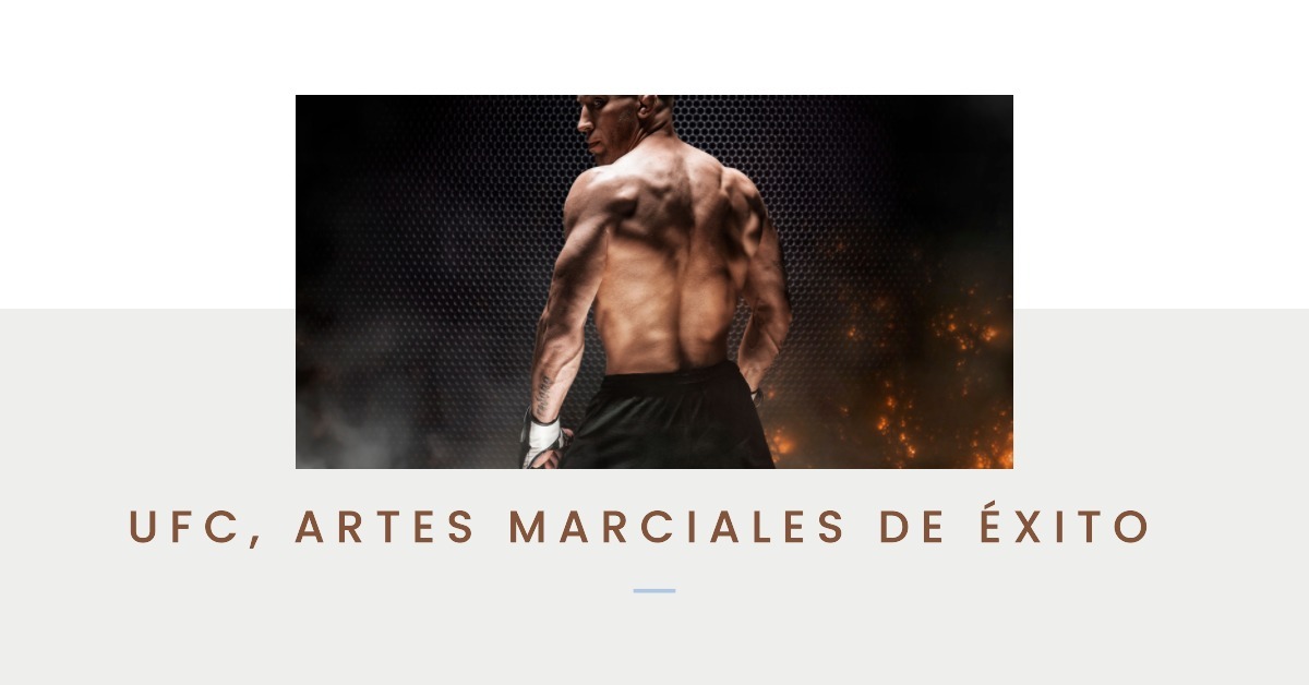 UFC artes marciales de
