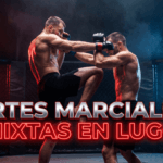 Free dojo, la escuela de referencia de las artes marciales mixtas en lugo