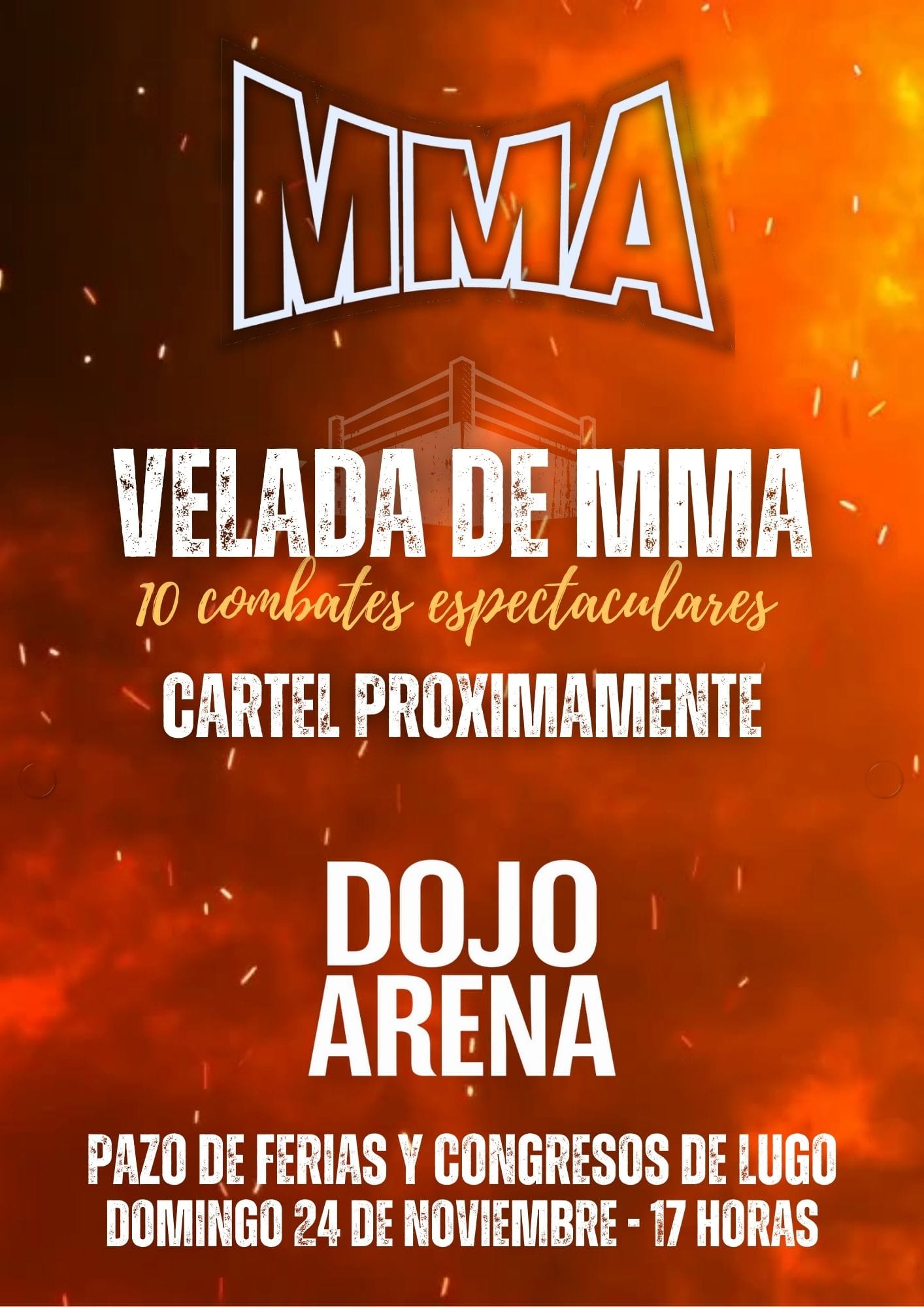 Dojo arena - 2024 - velada domingo 24