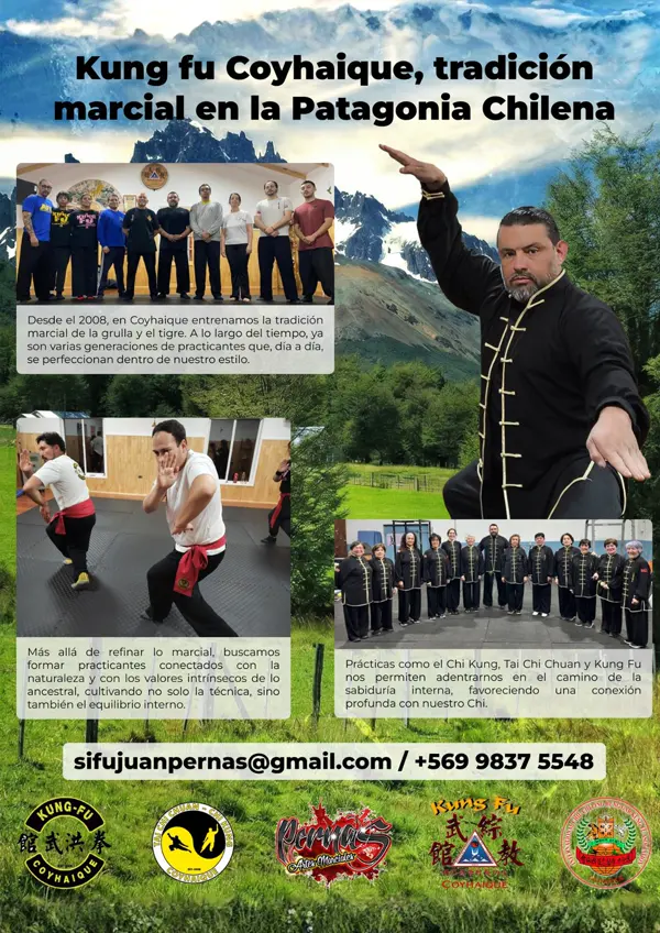 Página de mundo marcial sobre el kung fu en coyhaique