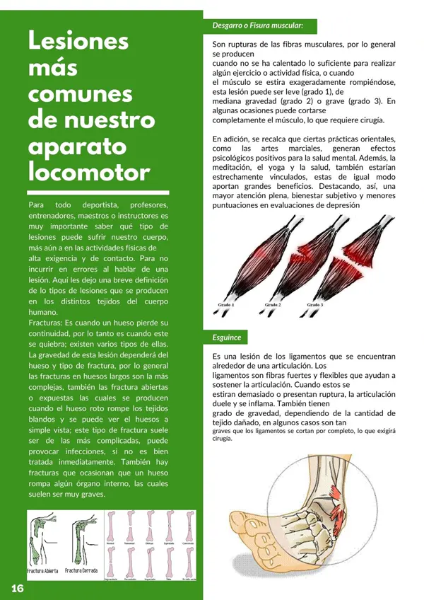 Página de mundo marcial sobre las lesiones más comunes del aparato locomotor