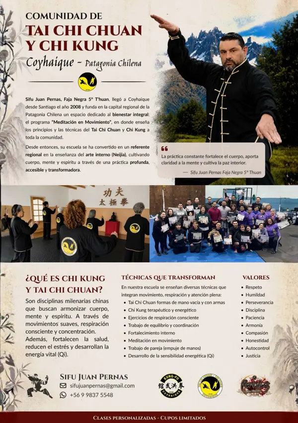 Página de mundo marcial sobre la comunidad de tai chi chuan y chi kung de coyhaique