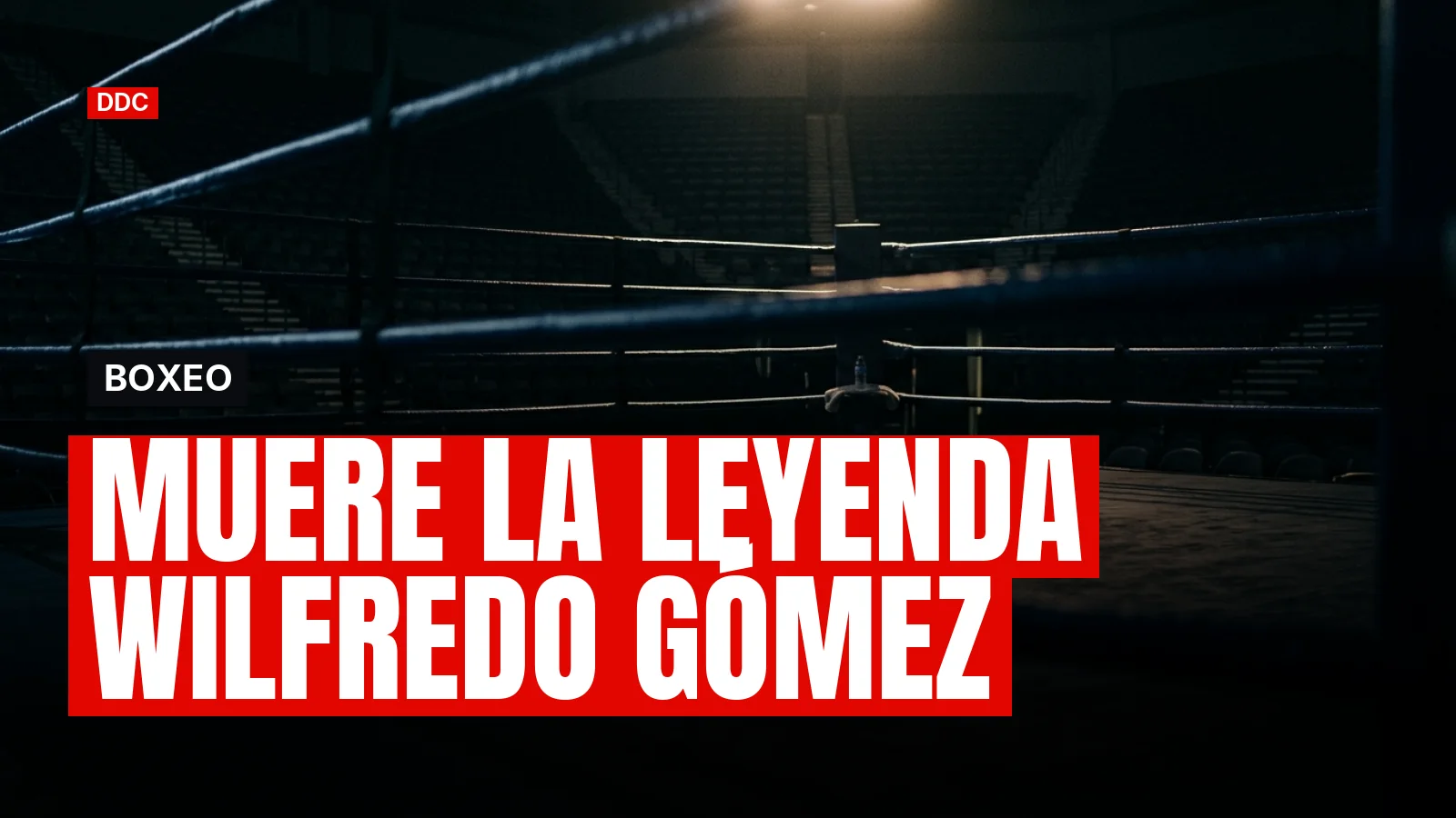Ring de boxeo vacío bajo una luz tenue cenital que ilumina las cuerdas y la lona en penumbra.