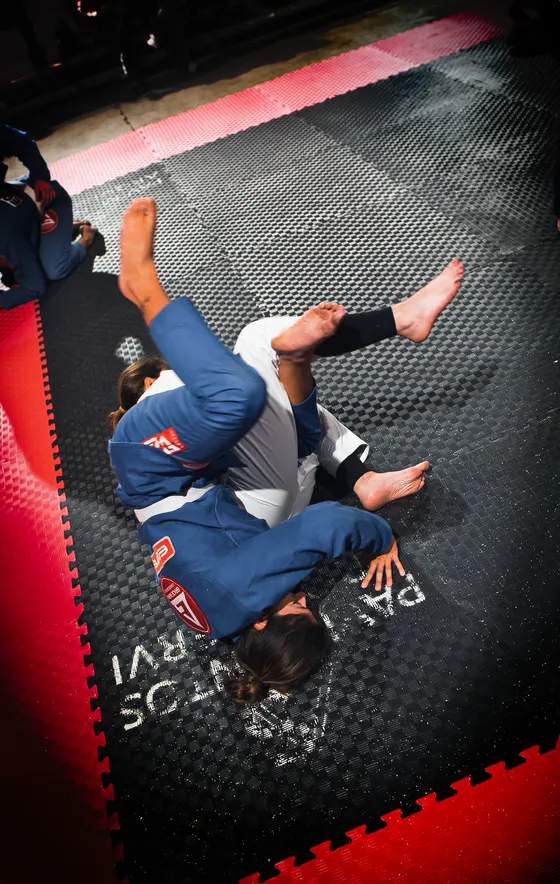 Seminario técnico en el tatami con decenas de alumnos