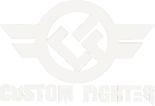 Custom fighter