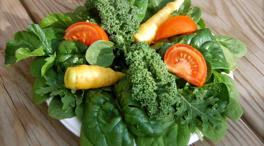 Cómo Mejorar el Rendimiento con Planes Alimenticios