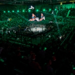 El año wow: movistar plus estrena el documental que radiografía el boom de las mma en españa