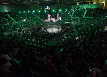 El año WOW: Movistar Plus estrena el documental que radiografía el boom de las MMA en España