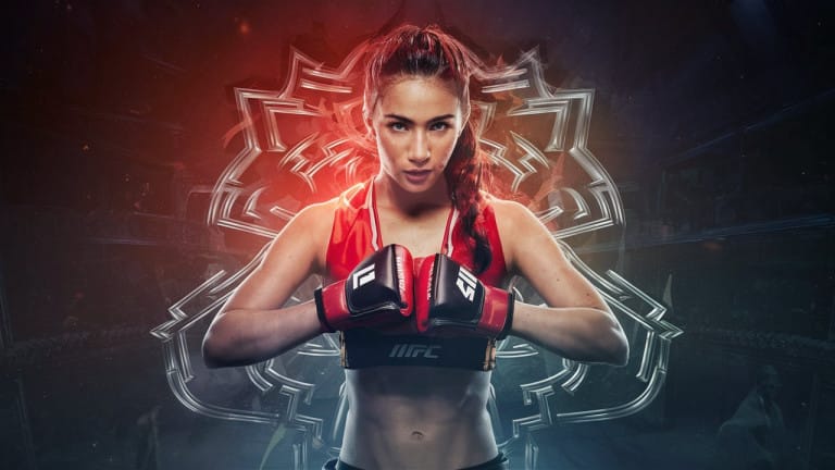 Estilos de la ufc