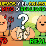 Los huevos y el colesterol ¿mito o realidad?