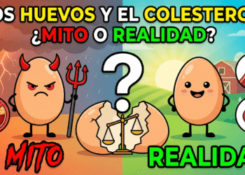 Los huevos y el colesterol ¿mito o realidad?