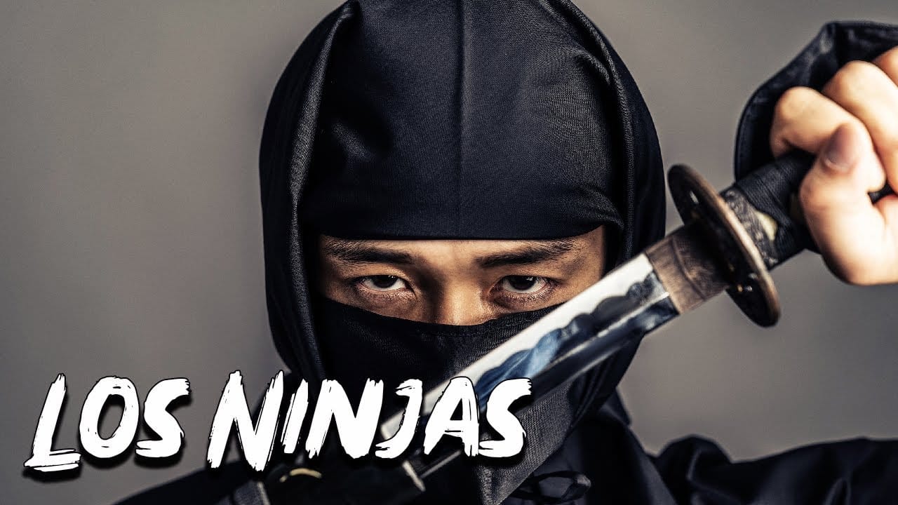 historia de los ninjas