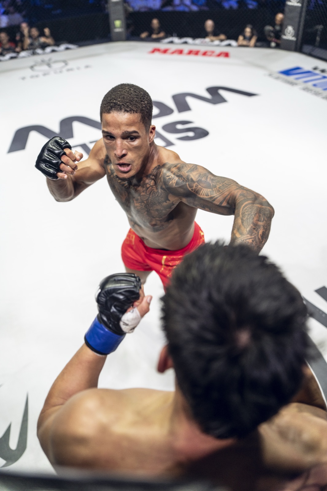 Jeffry batista contra junior hernández en wow 32 sevilla