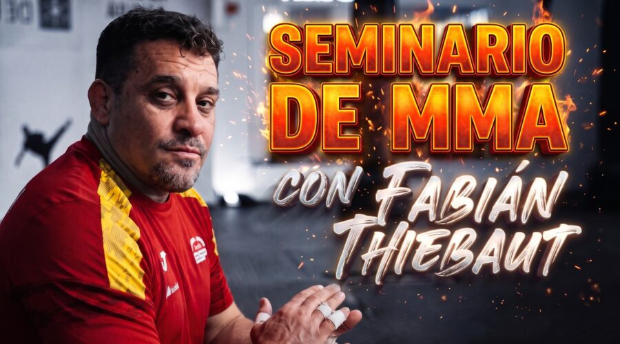 Claves del seminario de MMA con Fabián Thiebaut en Lugo