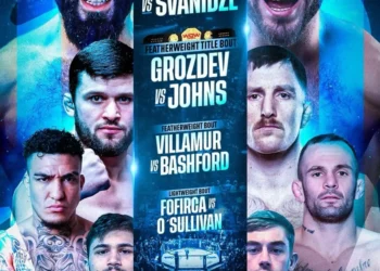 Wow acaba el año a lo grande, en su año clave