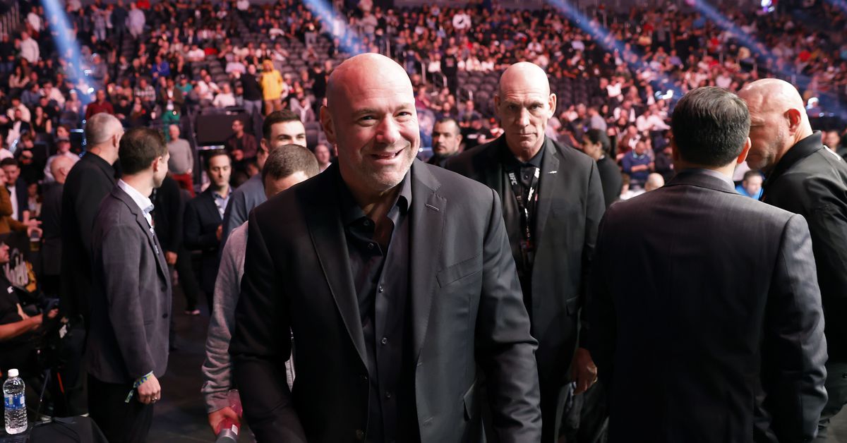 Bonificaciones posteriores a la pelea de UFC 282: el 'buen humor' de Dana White le otorga a cada finalista $ 50k 1 wp header logo 23