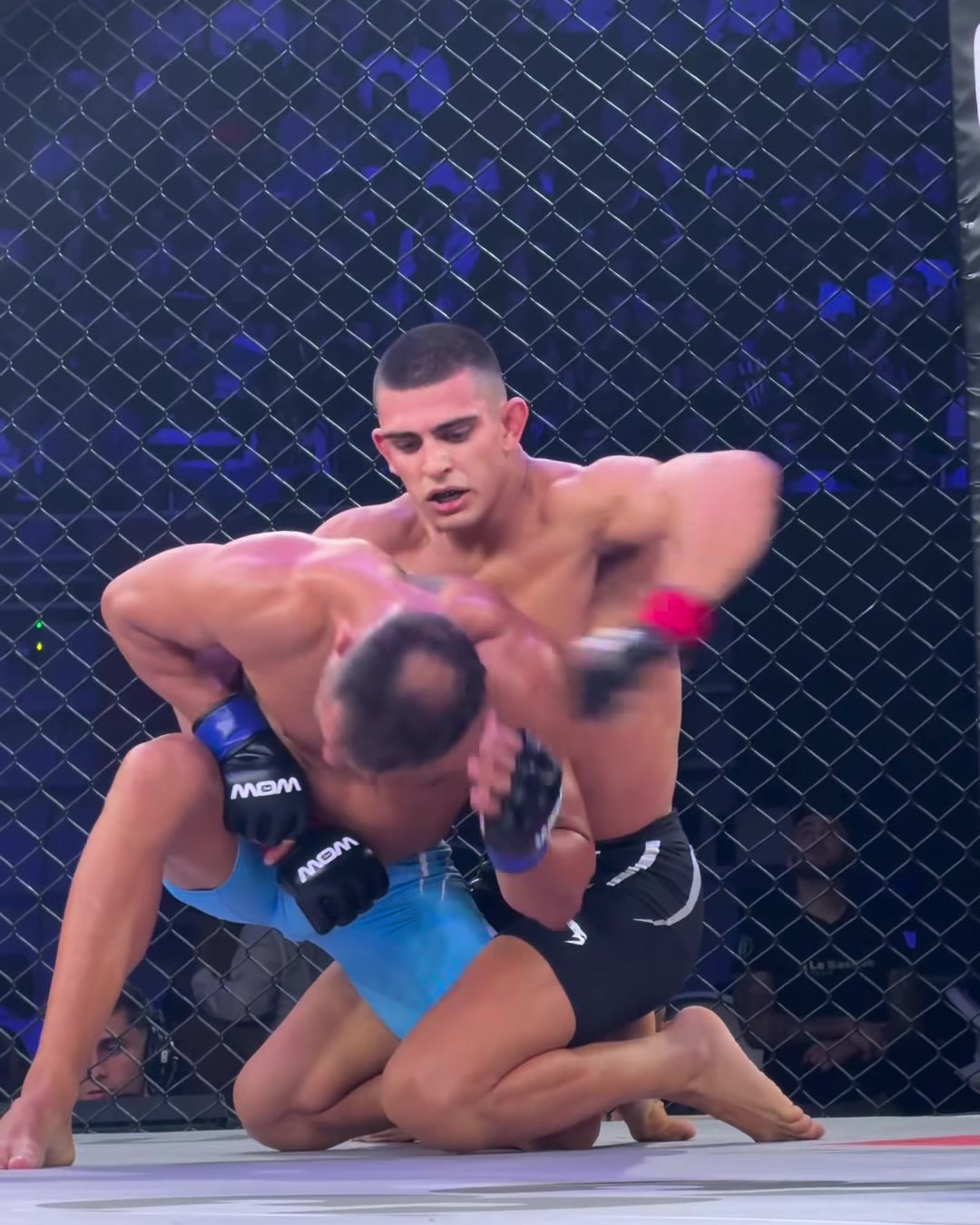 Yaman «el diamante» mjahed controla a ubay gonzález contra la reja en wow 33